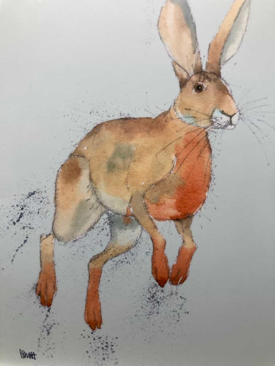 Jumping Hare