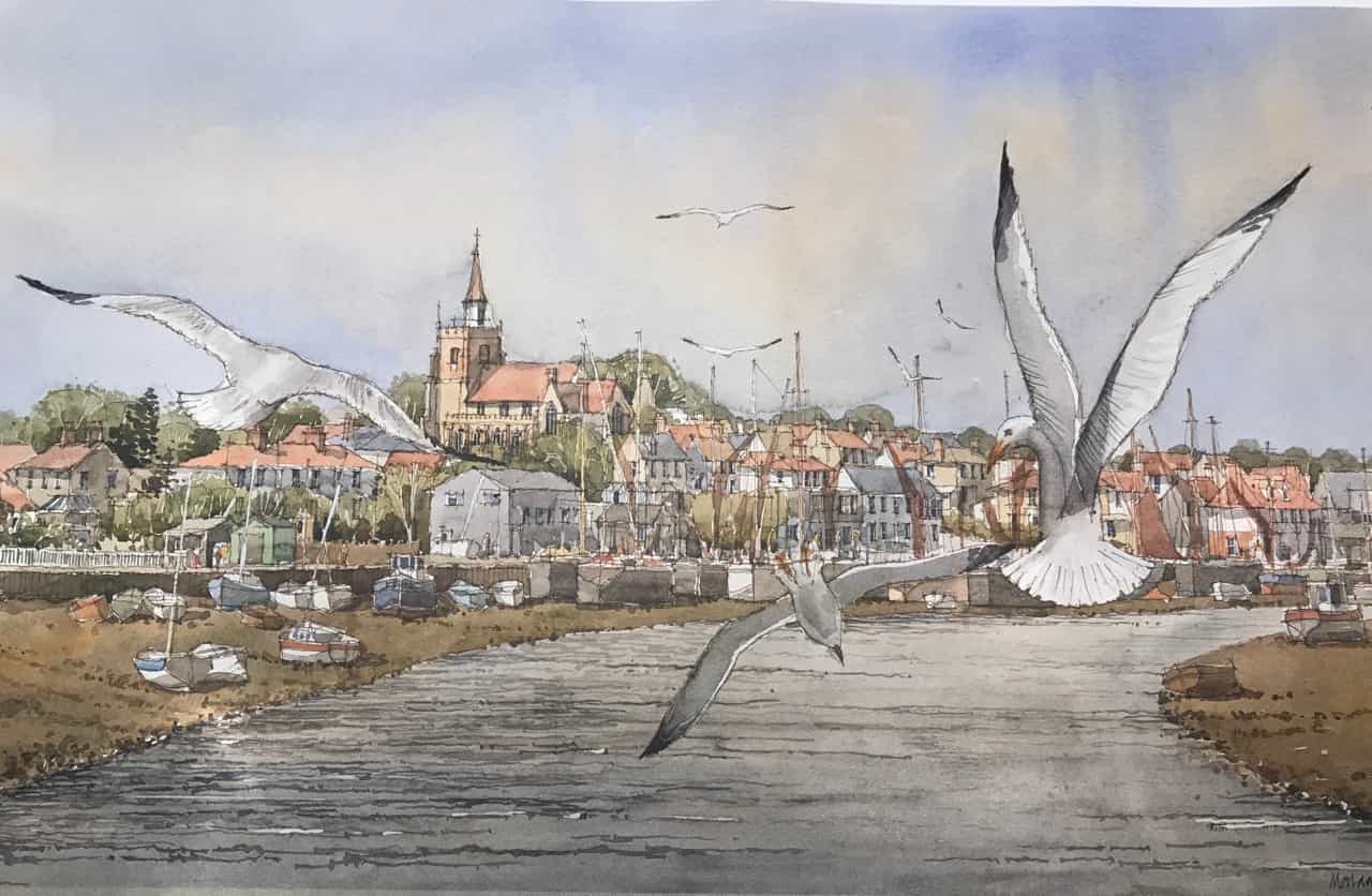Maldon Gulls